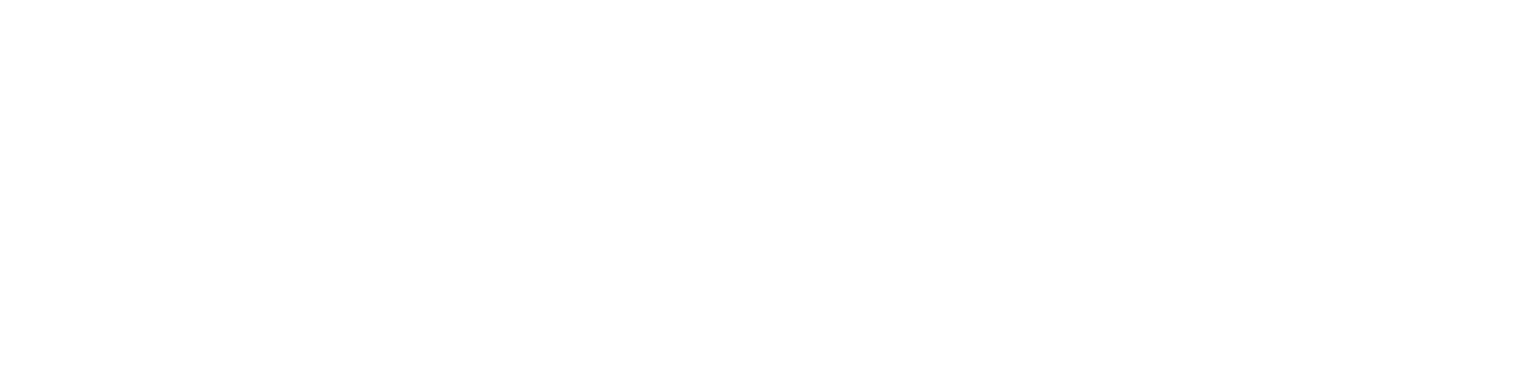 Logo - en partenariat avec NACON - Blanc.png
