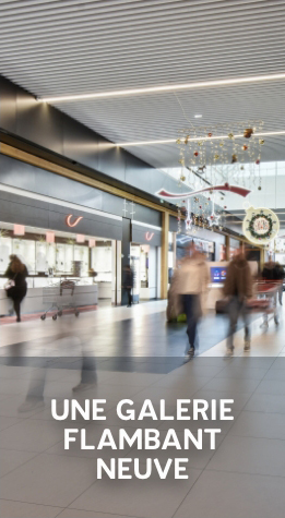 visuel nouvelle galerie