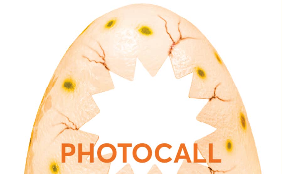 photocall.PNG