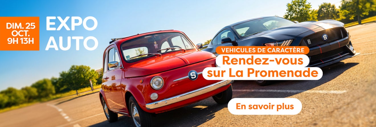 exposition vehicules sunday octobre